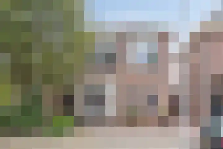 Rozenstraat 64 Almelo thumbnail 4