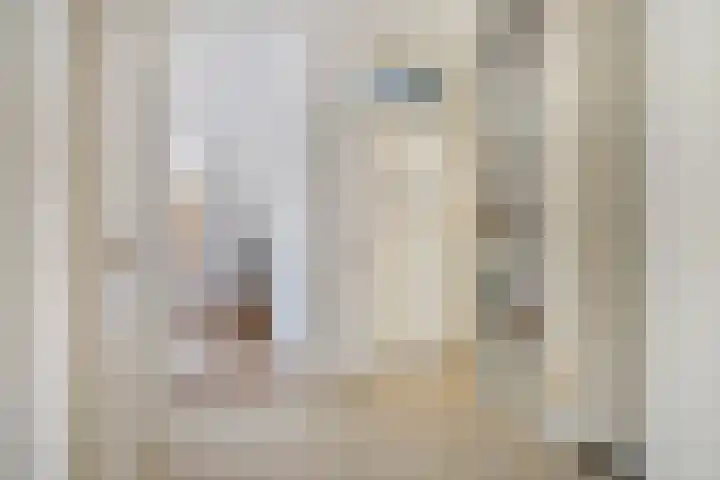 Rozenstraat 7 Den Haag thumbnail 7