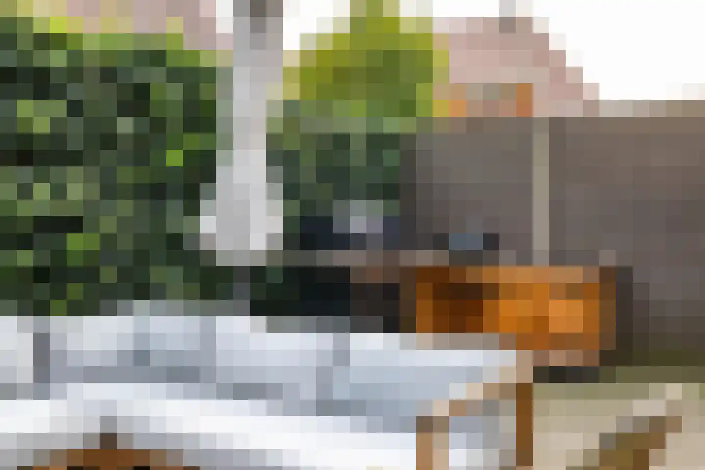 Rozenstraat 7 Doetinchem thumbnail 22