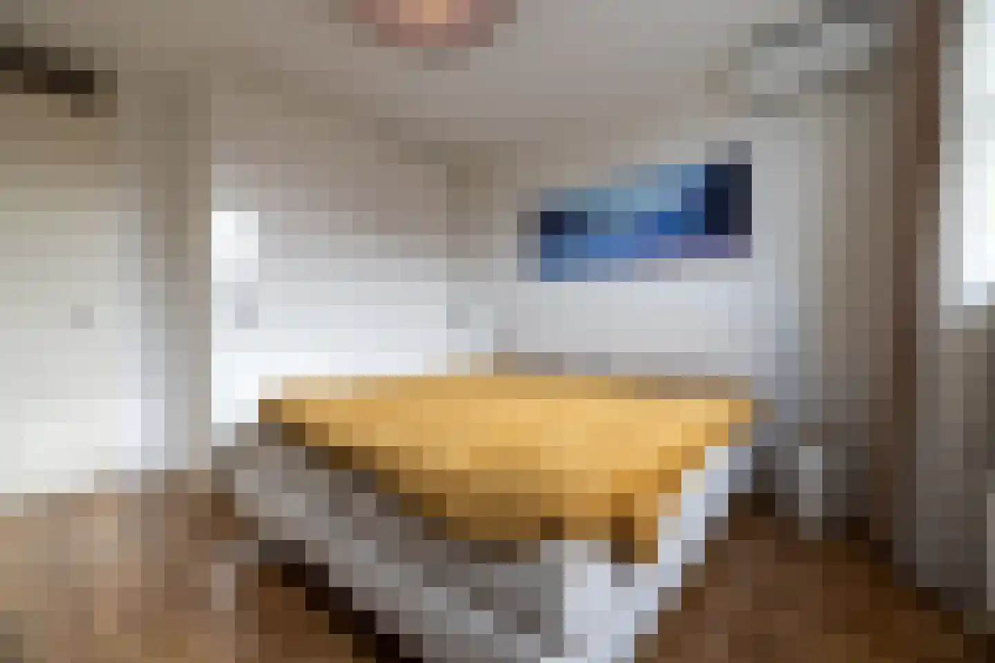 Rozenstraat 7 Doetinchem thumbnail 31