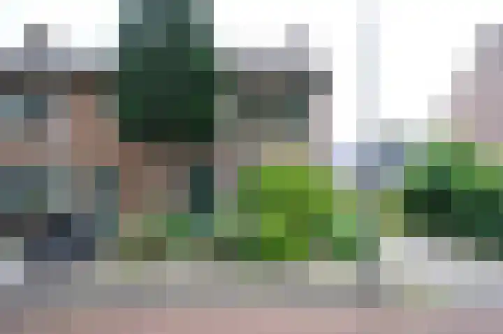 Rozenstraat 7 Eerbeek thumbnail 17