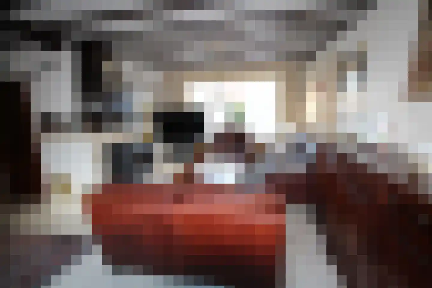 Rozenstraat 71 St. Willebrord thumbnail 10