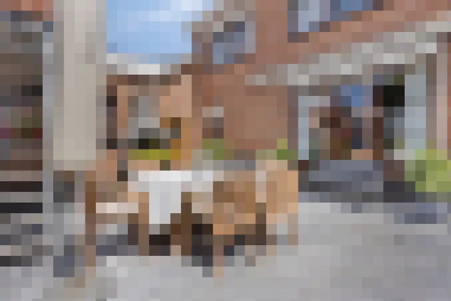 Rozenstraat 71 St. Willebrord thumbnail 34