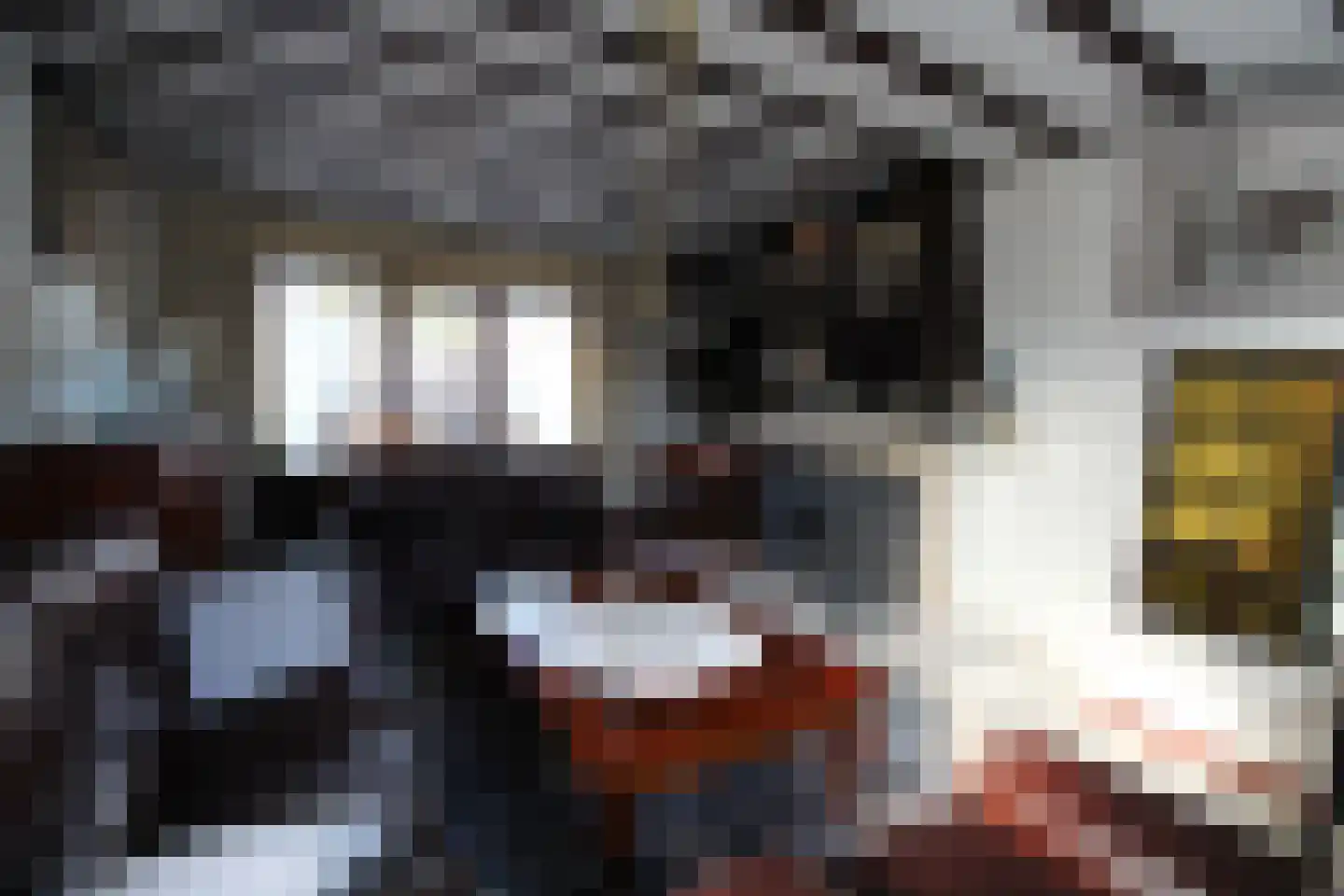 Rozenstraat 71 St. Willebrord thumbnail 9
