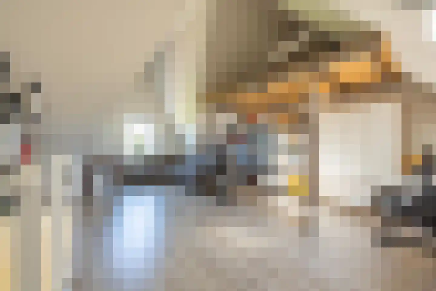 Rozenstraat 73 c Didam thumbnail 15