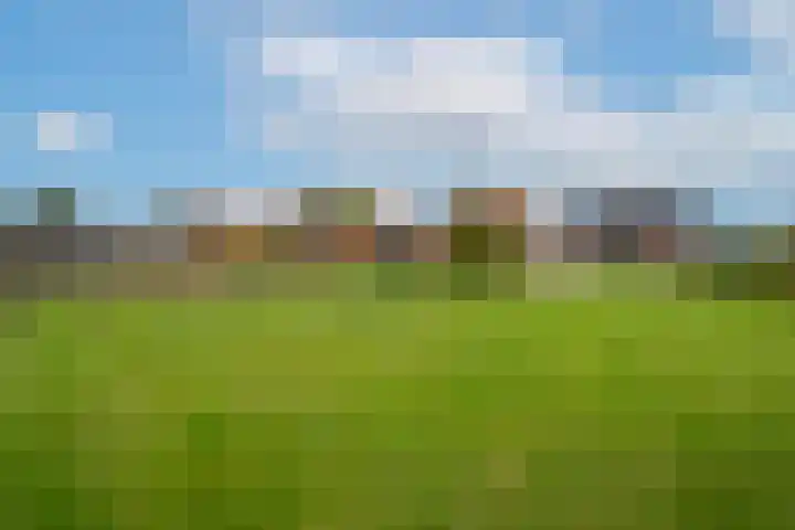 Rozenstraat 73 c Didam thumbnail 24