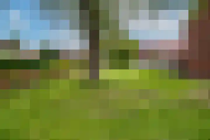 Rozenstraat 73 c Didam thumbnail 37