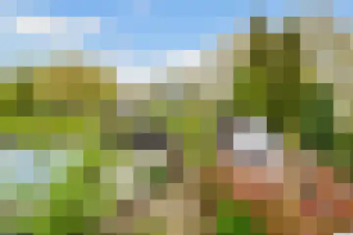 Rozenstraat 73 Hilversum thumbnail 32
