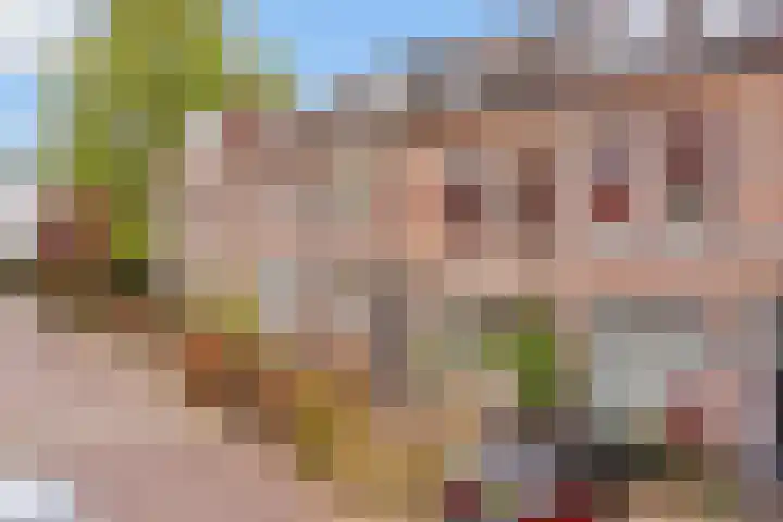Rozenstraat 73 Hilversum thumbnail 36