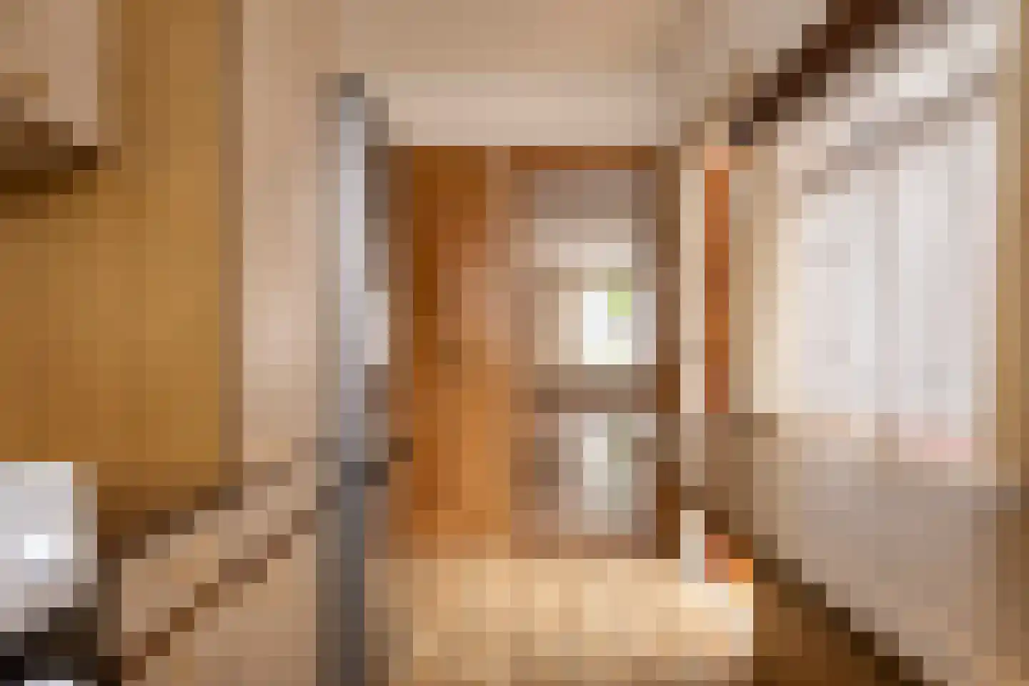 Rozenstraat 73 Terneuzen thumbnail 4