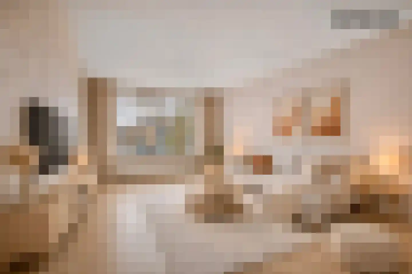 Rozenstraat 75 Barneveld thumbnail 11