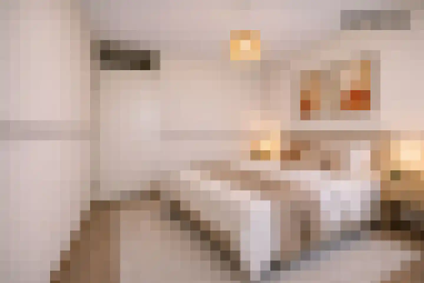 Rozenstraat 75 Barneveld thumbnail 22