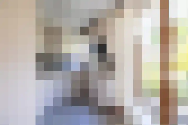 Rozenstraat 79 Didam thumbnail 10