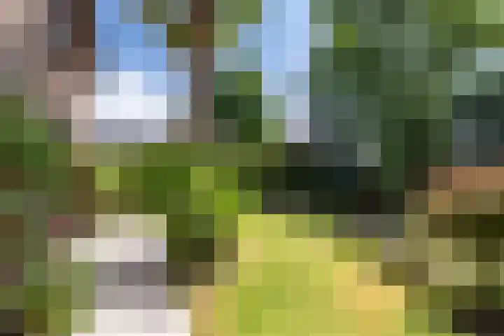 Rozenstraat 79 Didam thumbnail 15