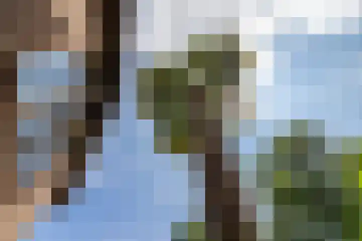 Rozenstraat 79 Didam thumbnail 17