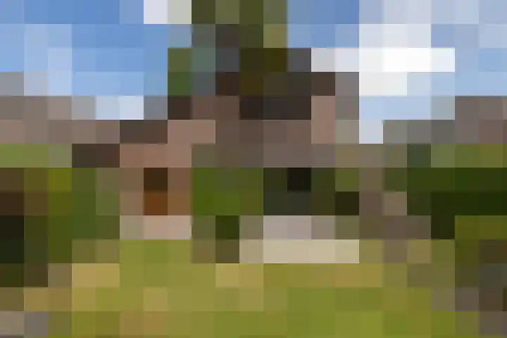 Rozenstraat 79 Didam thumbnail 20