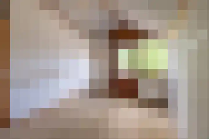 Rozenstraat 79 Didam thumbnail 33