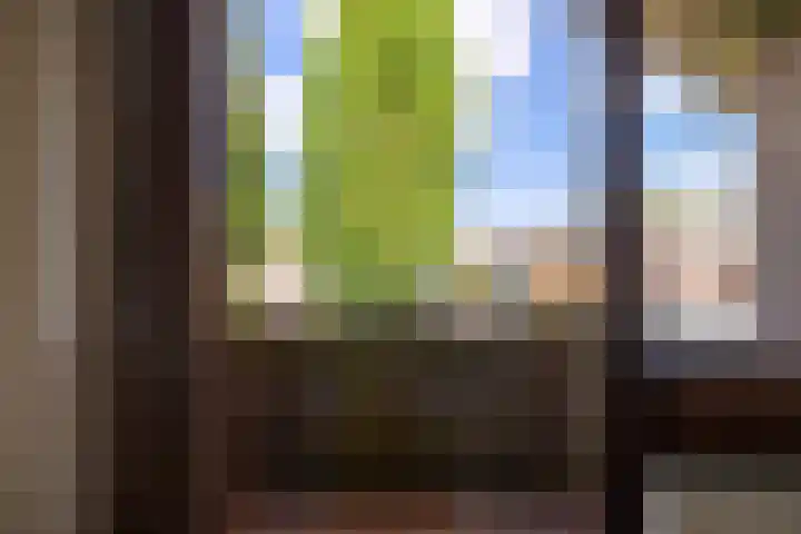 Rozenstraat 79 Didam thumbnail 35