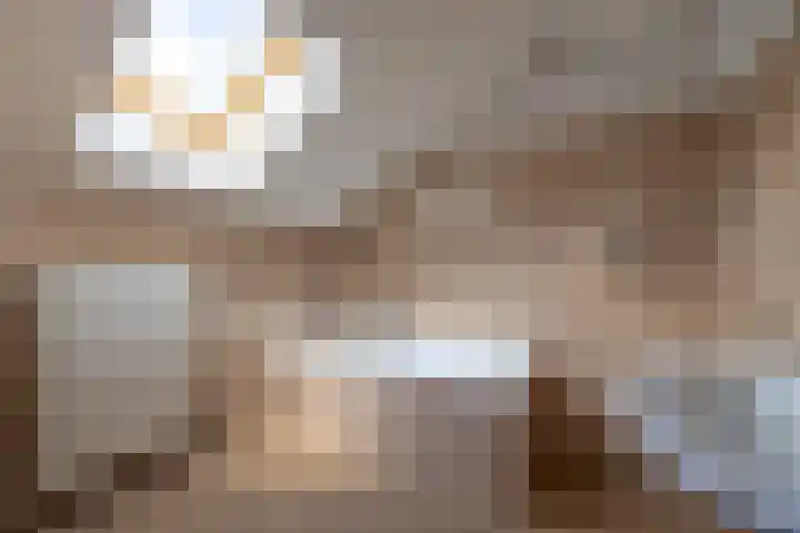 Rozenstraat 79 Didam thumbnail 37