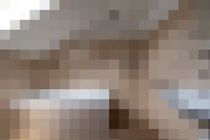Rozenstraat 79 Didam thumbnail 39