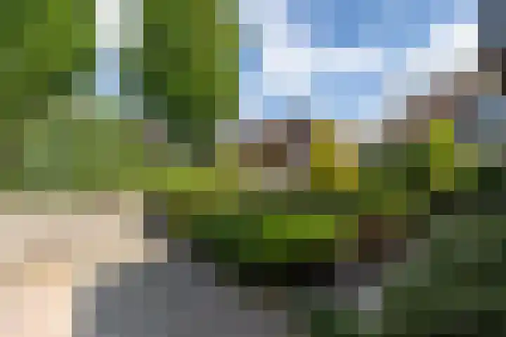 Rozenstraat 79 Didam thumbnail 44