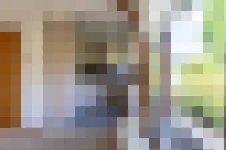 Rozenstraat 79 Didam thumbnail 9