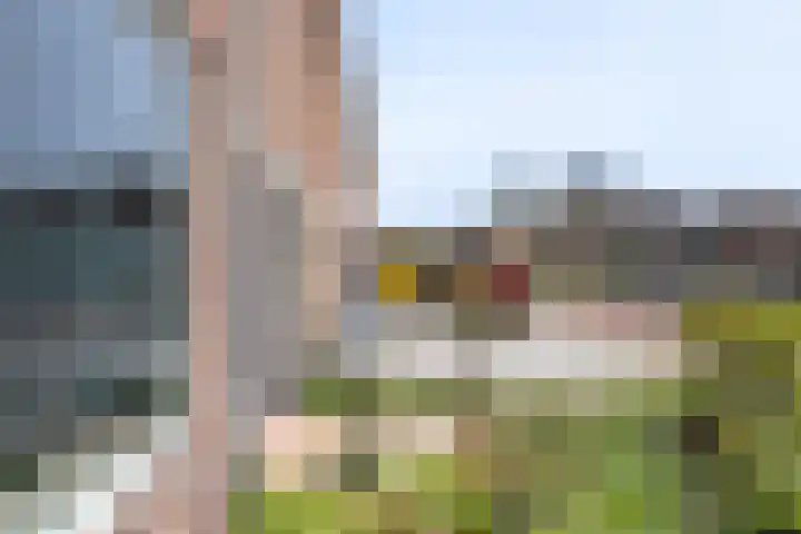 Rozenstraat 8 Eerbeek thumbnail 22