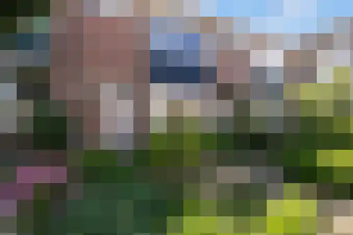 Rozenstraat 8 Malden thumbnail 30