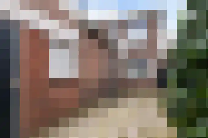 Rozenstraat 80 Almelo thumbnail 35
