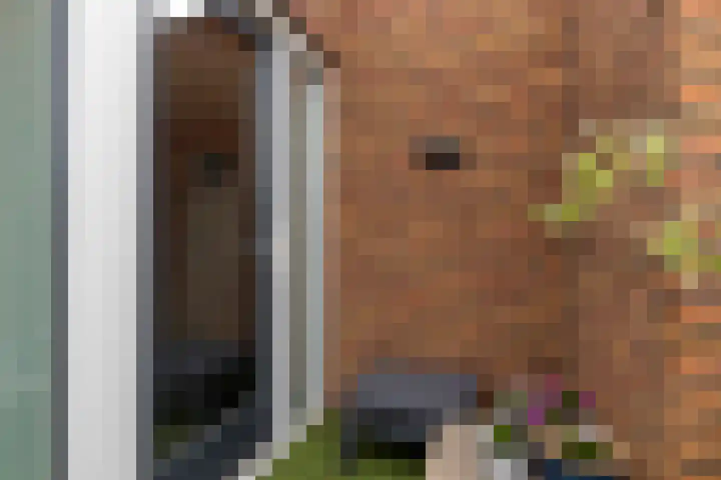 Rozenstraat 80 Tilburg thumbnail 24