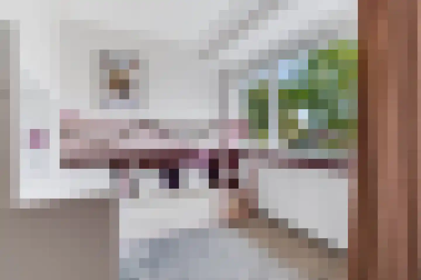 Rozenstraat 81 Eerbeek thumbnail 24
