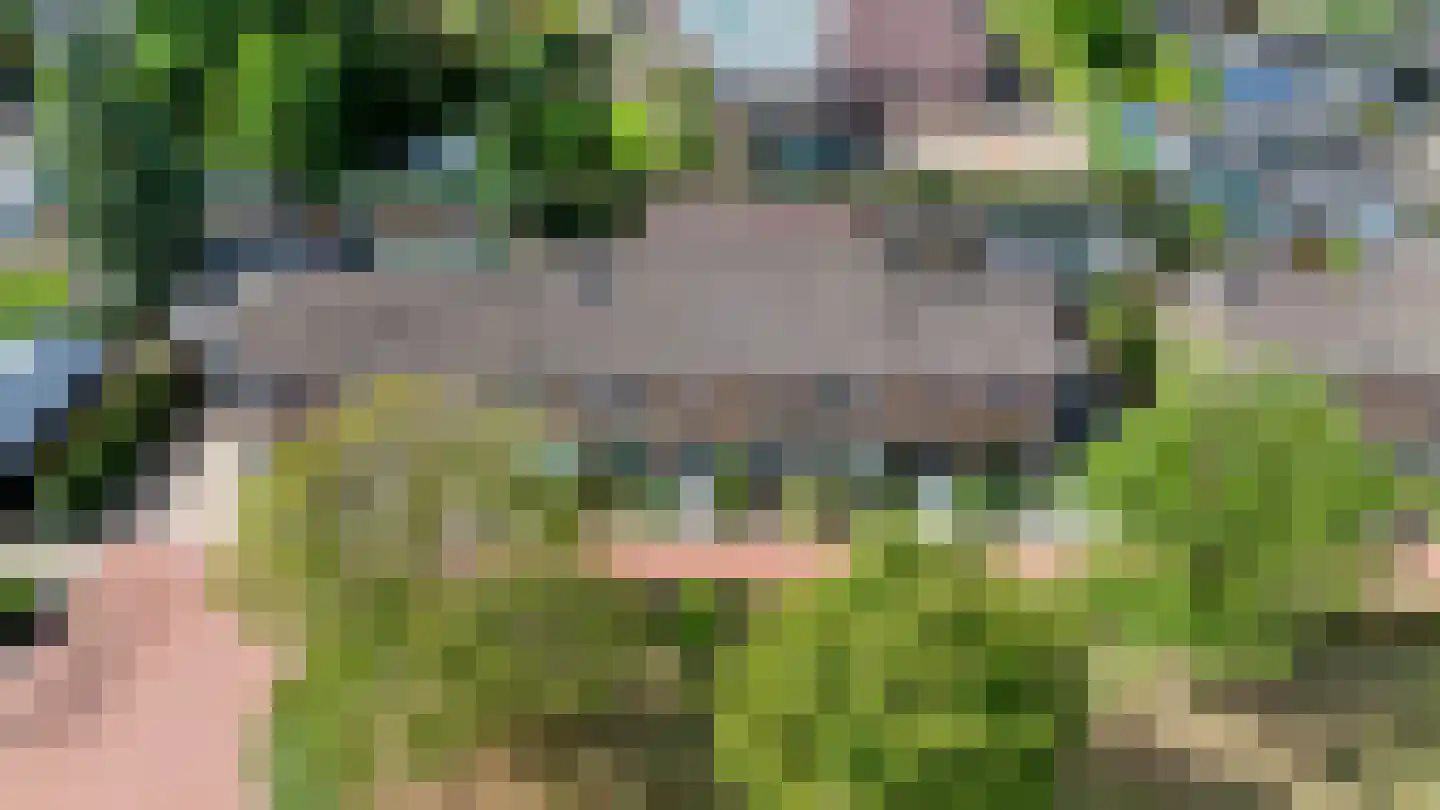 Rozenstraat 81 Eerbeek thumbnail 42