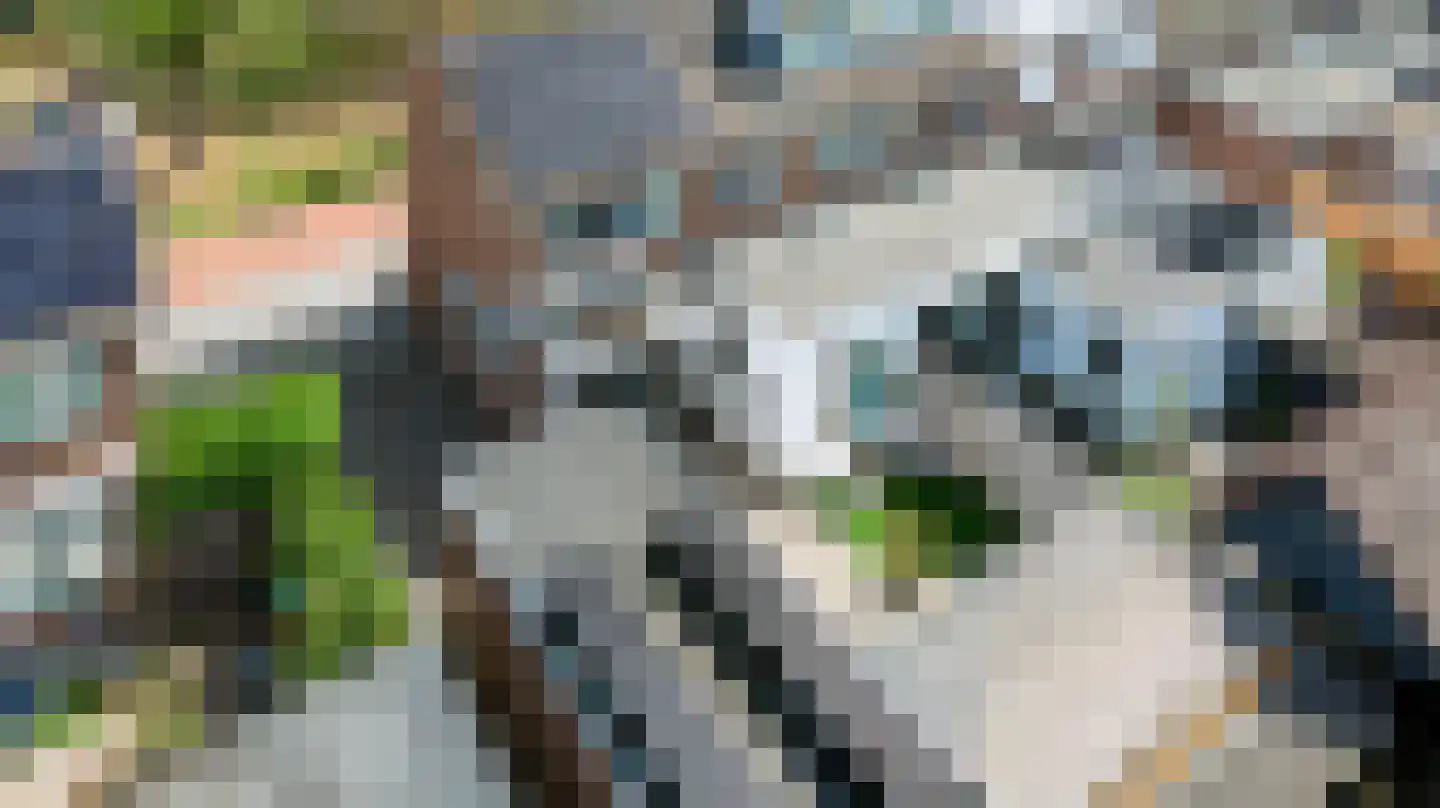 Rozenstraat 81 Eerbeek thumbnail 45