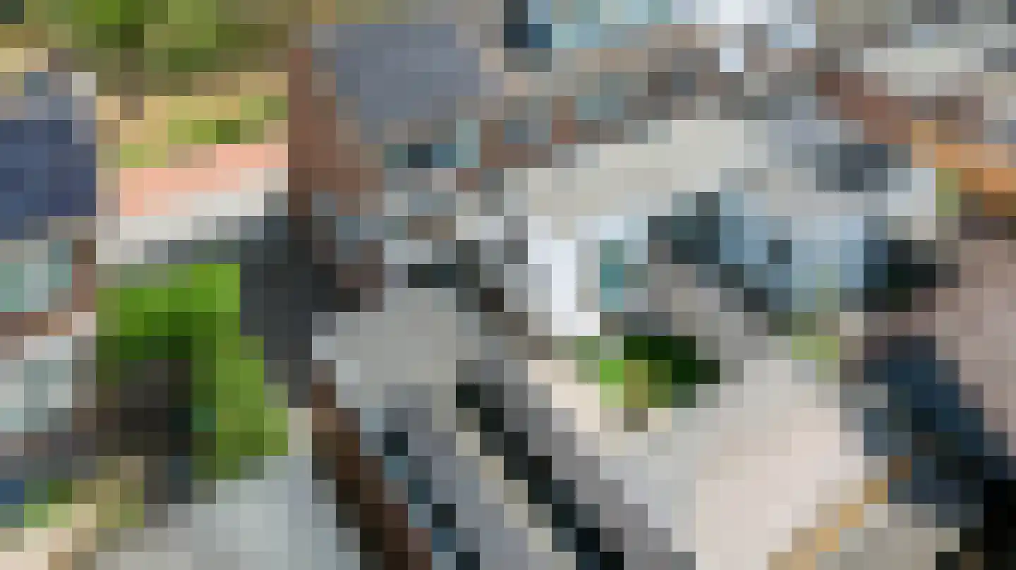 Rozenstraat 81 Eerbeek thumbnail 48