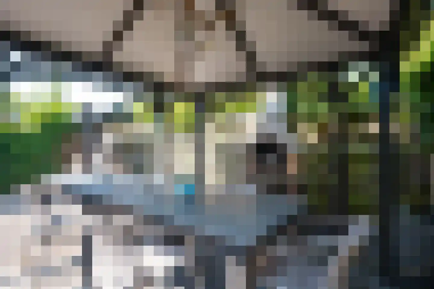 Rozenstraat 89 Bovensmilde thumbnail 25