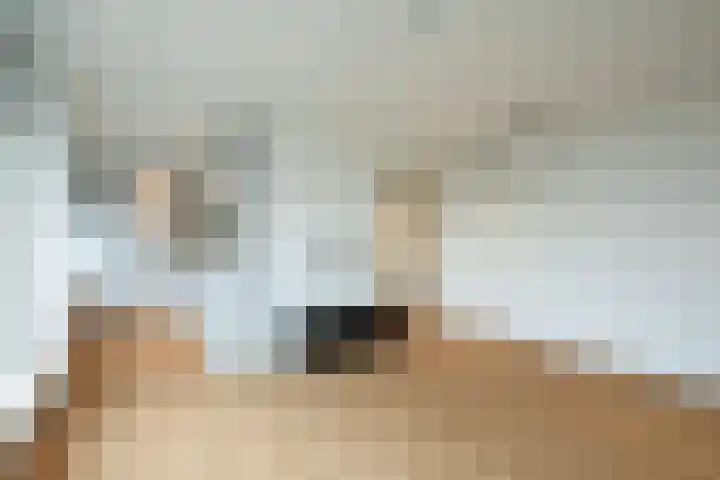 Rozenstraat 9 A 1 Zeist thumbnail 5