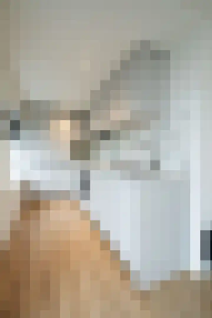 Rozenstraat 9 A 1 Zeist thumbnail 6