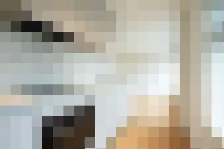Rozenstraat 9 A 1 Zeist thumbnail 7