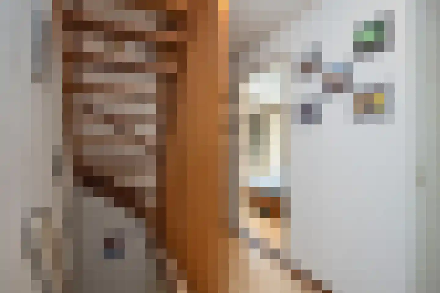 Rozenstraat 9 Hengelo thumbnail 20