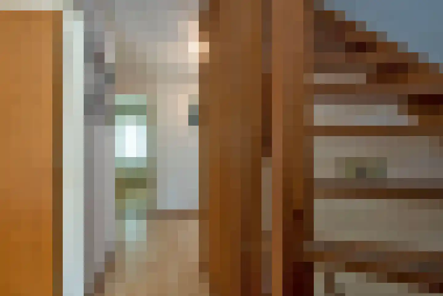 Rozenstraat 9 Hengelo thumbnail 30