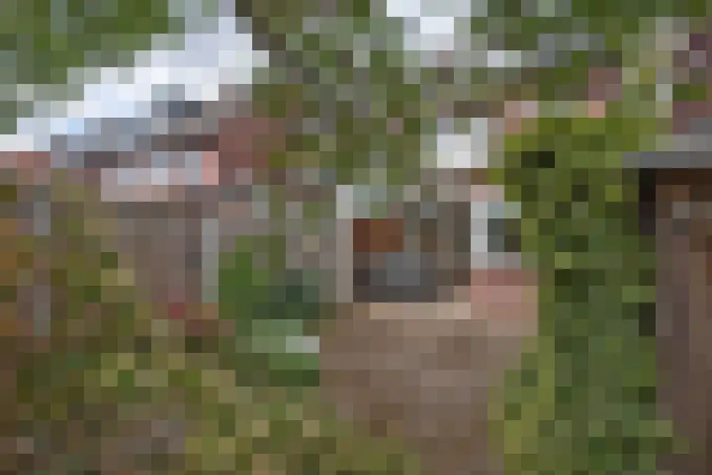 Rozenstraat 9 Hengelo thumbnail 37