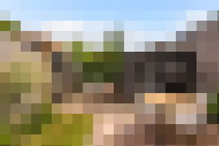 Rozenstraat 9 Woerden thumbnail 27