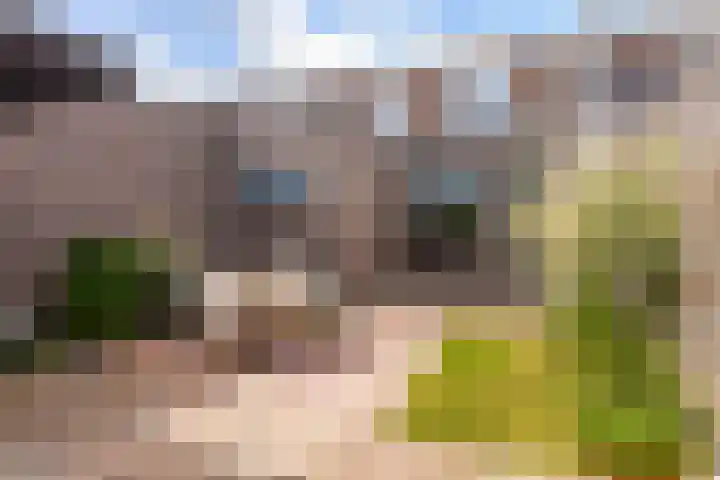 Rozenstraat 9 Woerden thumbnail 30