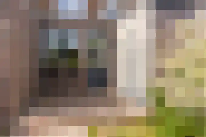Rozenstraat 9 Woerden thumbnail 33