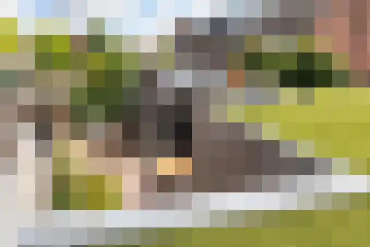 Rozenstraat 9 Woerden thumbnail 38
