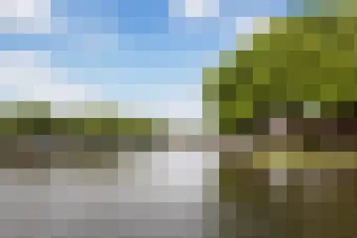Rozenstraat 9 Woerden thumbnail 56
