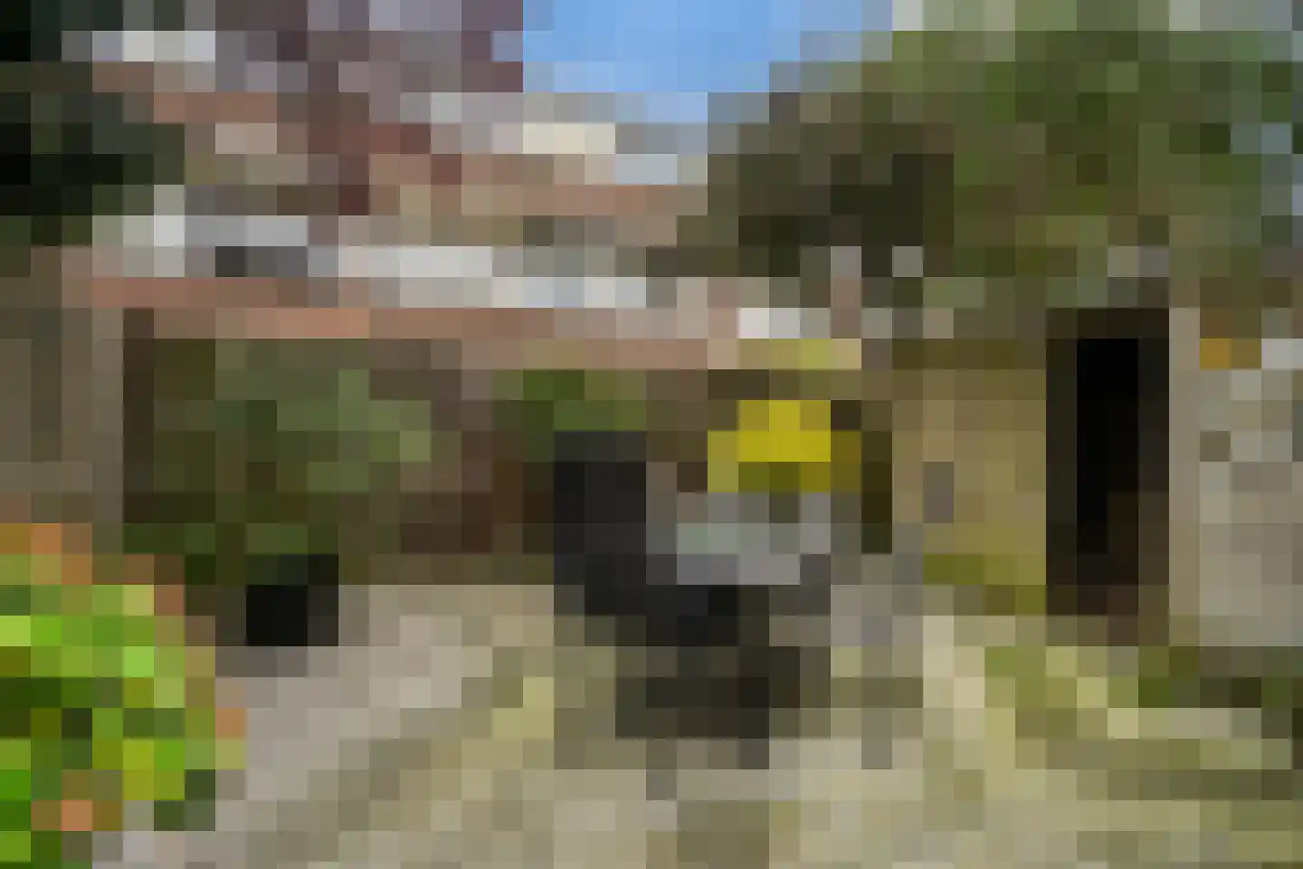 Rozenstraat 91 Den Haag thumbnail 18