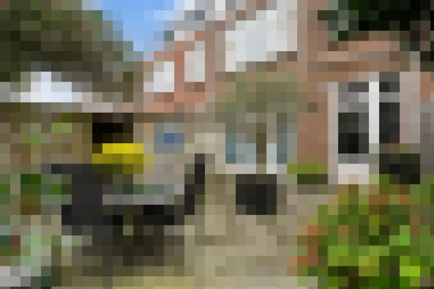 Rozenstraat 91 Den Haag thumbnail 19