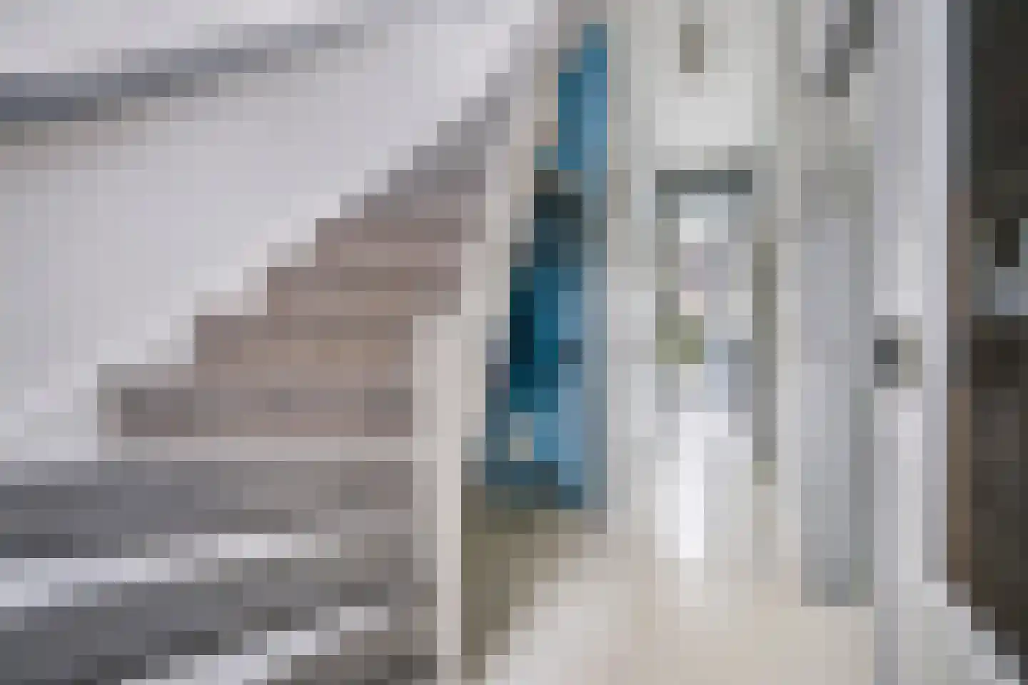 Rozenstraat 91 Den Haag thumbnail 22