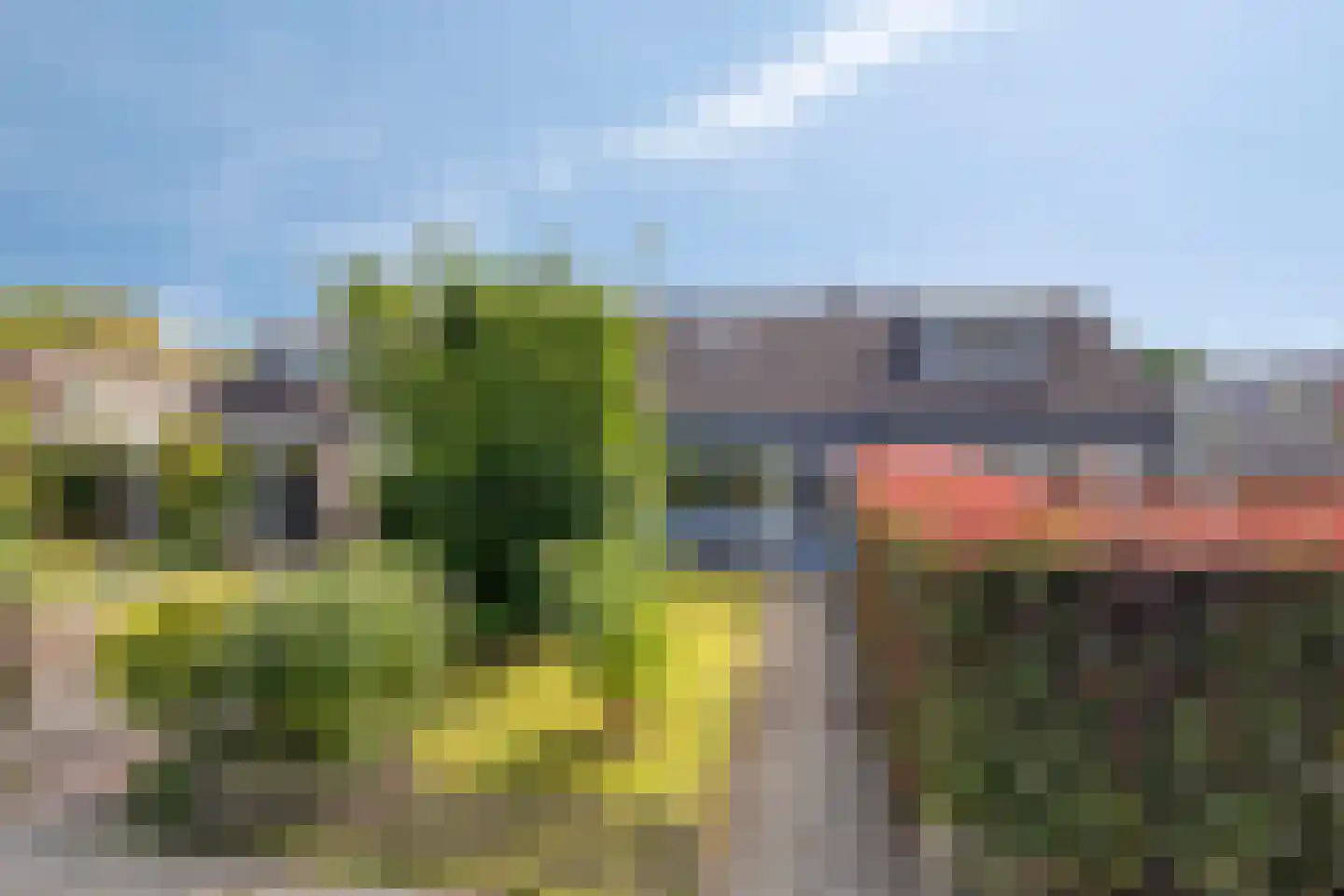 Rozenstraat 95 Bovensmilde thumbnail 5